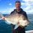 Snapper on the KG gear
